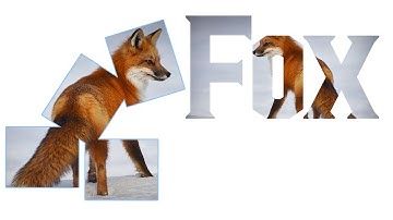 Fox Animal Clipping Mask in Photoshop Tutorial Video