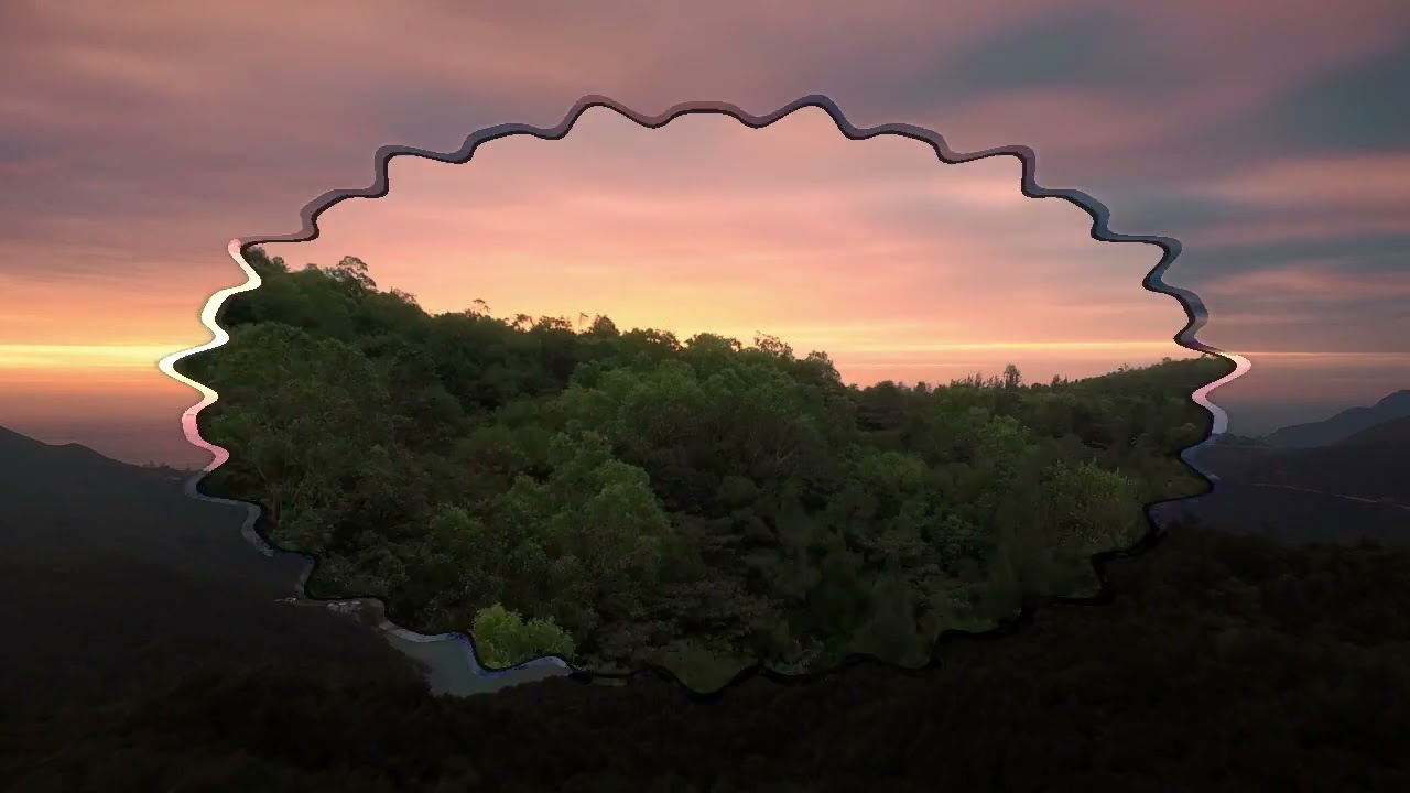 Relaxing Music 24/7, Stress Relief Music, Sleep Music, Meditation Music, Study, Calming Music