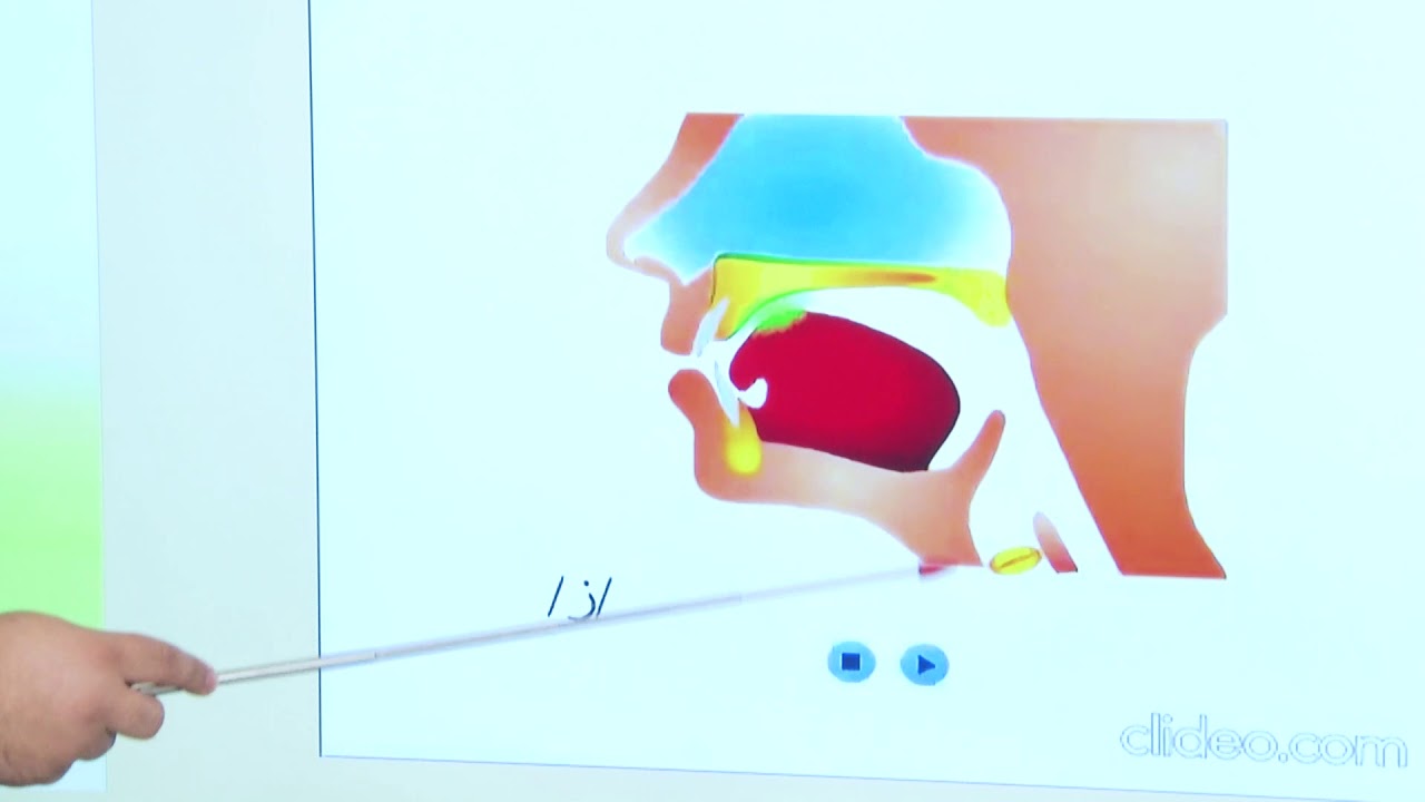 جلسة علاج النطق واللغة  اصدار صوت الزين   ز