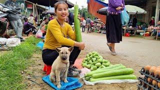 Harvest, chayote, and gourd to bring to the market to sell | Chuc Thi Duong