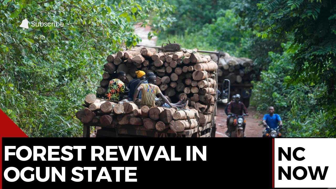 Ogun Communities Lead Push for Forest Restoration