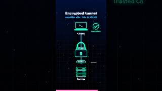 TLS handshake  #cybersecurity #hacker #viral
