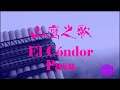 El Cóndor Pasa 山鹰之歌中文翻唱 Cover By LAVANDA El Cóndor Pasa 山鹰之歌中文翻唱 Cover By LAVANDA