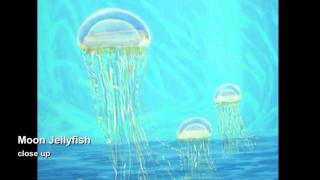 John Pomeroy Friends - Portholes Introduction