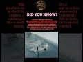 Not an Accident: The Army’s Secret “Submarine Jeep” 🚙🌊
