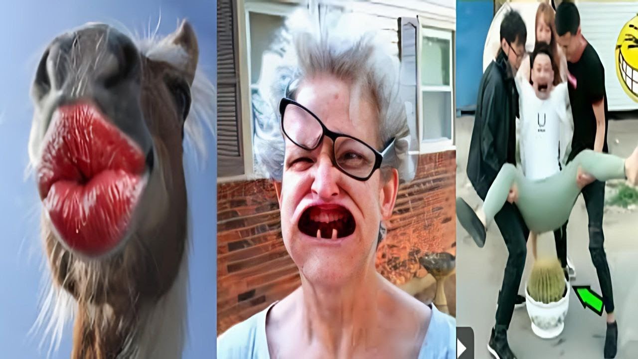 Best Funny Videos Compilation 😂 | Try Not to Laugh!