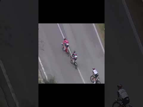 La superbe attaque d'Alaphilippe qui a dynamité le peloton sur Tirreno Adriatico #shorts #cycling