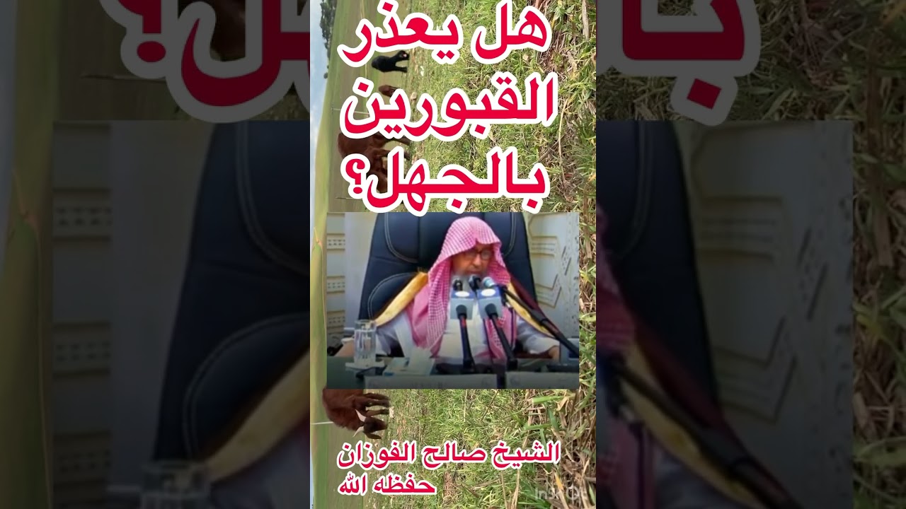هل يعذر القبوريون بالجهل صالح الفوزان