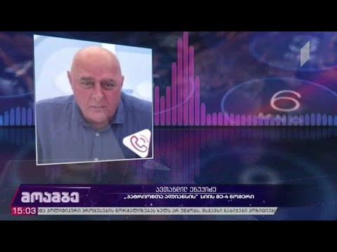 „პატრიოტთა ალიანსის“ სიის მეოთხე ნომერი პარლამენტში შედის