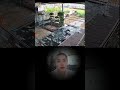يا إلهي كلب حيوانات فيديو قصير مضحك