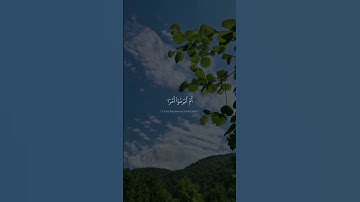 أَمۡ أَبۡرَمُوٓاْ أَمۡرٗا فَإِنَّا مُبۡرِمُونَ| سورة الزخرف | محمد صديق المنشاوي