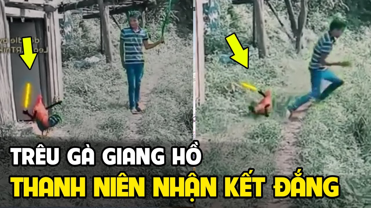 Gà Giang Hồ vs Sỉu Nhi - Tổng Hợp Hài Đọc suy nghĩ... - youtube