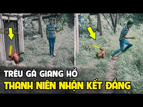 Video Gà Giang Hồ vs Sỉu Nhi - Tổng Hợp Hài Đọc suy nghĩ... - youtube