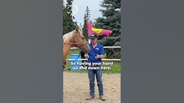 Working With Rescue Horse And Owner! Part 18! | The Horse Guru-Michael Gascon