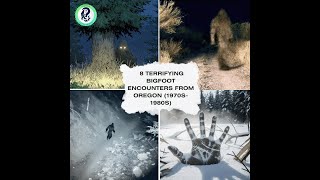 8 Terrifying Bigfoot Encounters From Oregon 1970S-1980S Real Bfro Sightings