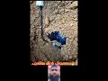 പുതിയ മീൻ പിടുത്തം #mallutraveler#fishingfreaks#shortsX#mallu#malayalam#m4tech