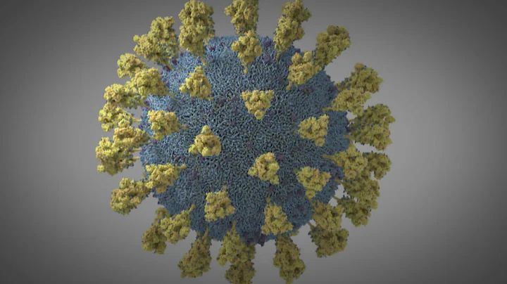 First cases of new variant of COVID-19 in Canada