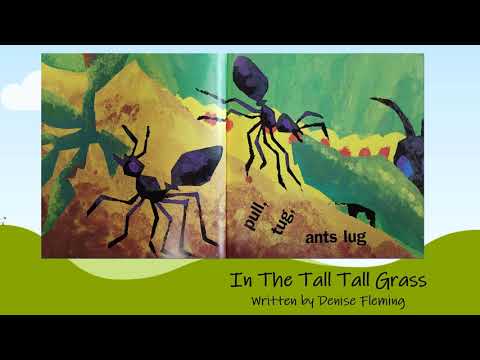 In The Tall Tall Grass Story Time