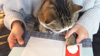 肉球スタンプとねこ。Paw Stamp of Cats.