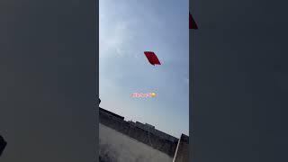 Catching kite