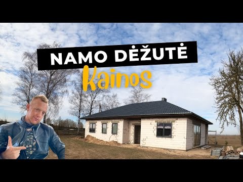 Originalus Vizonalas: Kaip rasti geriausias pirkimo variantas Lietuvoje