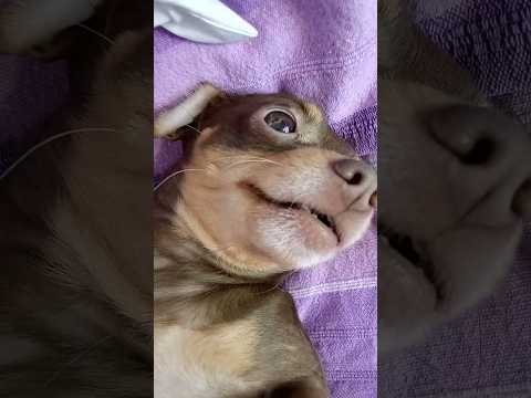 Моя ЛУБОФФЬ💞 #shortvideo