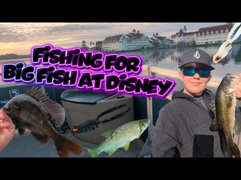 Catching big fish at Disney (POTENTIAL 10 POUNDER 😱)