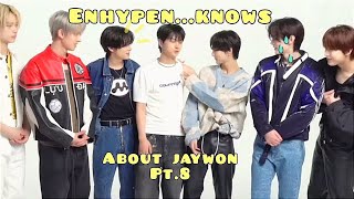 ENHYPEN KNOWS PT.8 about JAYWON or ENHYPEN exposing, protecting and judging jaywon