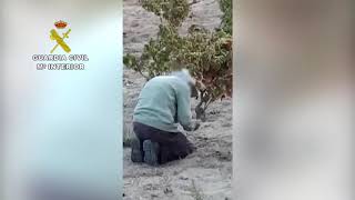 Operación Caza Furtiva