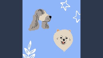 Scintillating Backdrops for Weekends with Pups