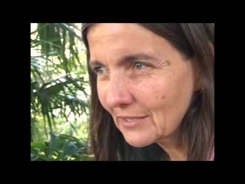 camera iphone 8 plus apk Versos e cacetes Jogo de pau na cultura afro fluminense