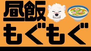 【雑談配信】神代と昼もぐ雑談しようぜっ！【獣Vtuber】