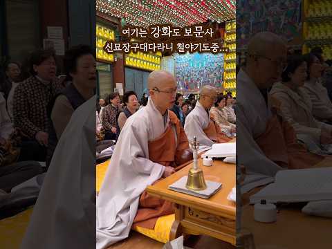 스님과 함께 신묘장구대다라니기도 철야기도 하실래요? #강화 보문사 # 원경스님