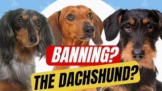 BANNING the DACHSHUNDS?