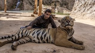 Aral Roca - October 2014 - Essència Animal