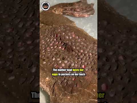 Don't Watch This