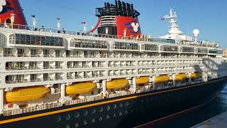 EPIC HORN BATTLE between the Disney Dream, the Disney Magic, Freedom of the Seas and Adam