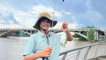 Ku kha câu lure mang rổ ( câu cá cao xạ pháo ) quá đỉnh !