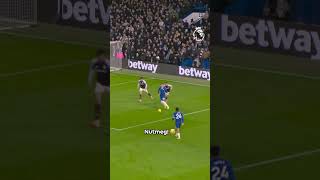 Cole Palmer NUTMEG Paskelbeimas