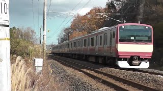 【令和の赤電】常磐線E531系K451編成（560M 水戸行き）泉～植田間の五反田踏切を通過