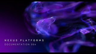 Nexus Platforms - Documentation 004