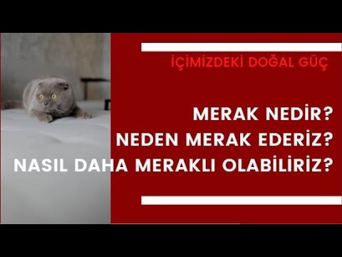 Öğrenme ve Yaratıcılık İçin Doğal Güç Merak Nedir, Neden Merak Ederiz, Nasıl Daha Meraklı Olabiliriz