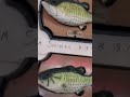 The Flying Fish Singing fish tour (Old video)