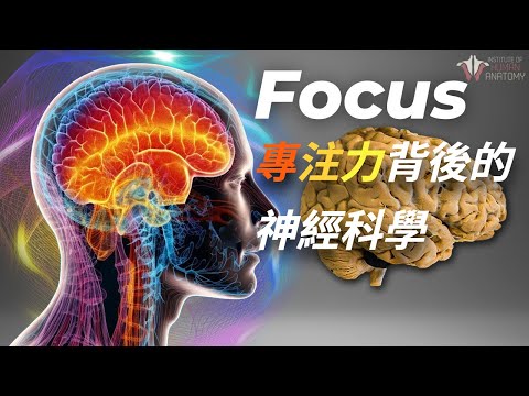 【專注力】是什麼在掌控我們的注意力？為什麼我們總是分心？