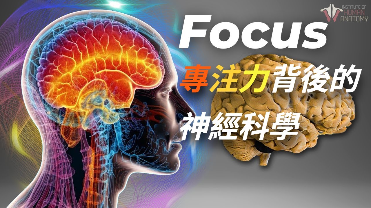 【專注力】是什麼在掌控我們的注意力?為什麼我們總是分心? - YouTube