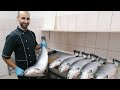 СЕМГА .КАК РАЗДЕЛАТЬ СЕМГУ.ЛОСОСЬ. salmon
Разделка лосося