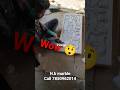 marble carving handmade 😍😍 call 7850962014 #instagram #trending #viral #viralvideo #art