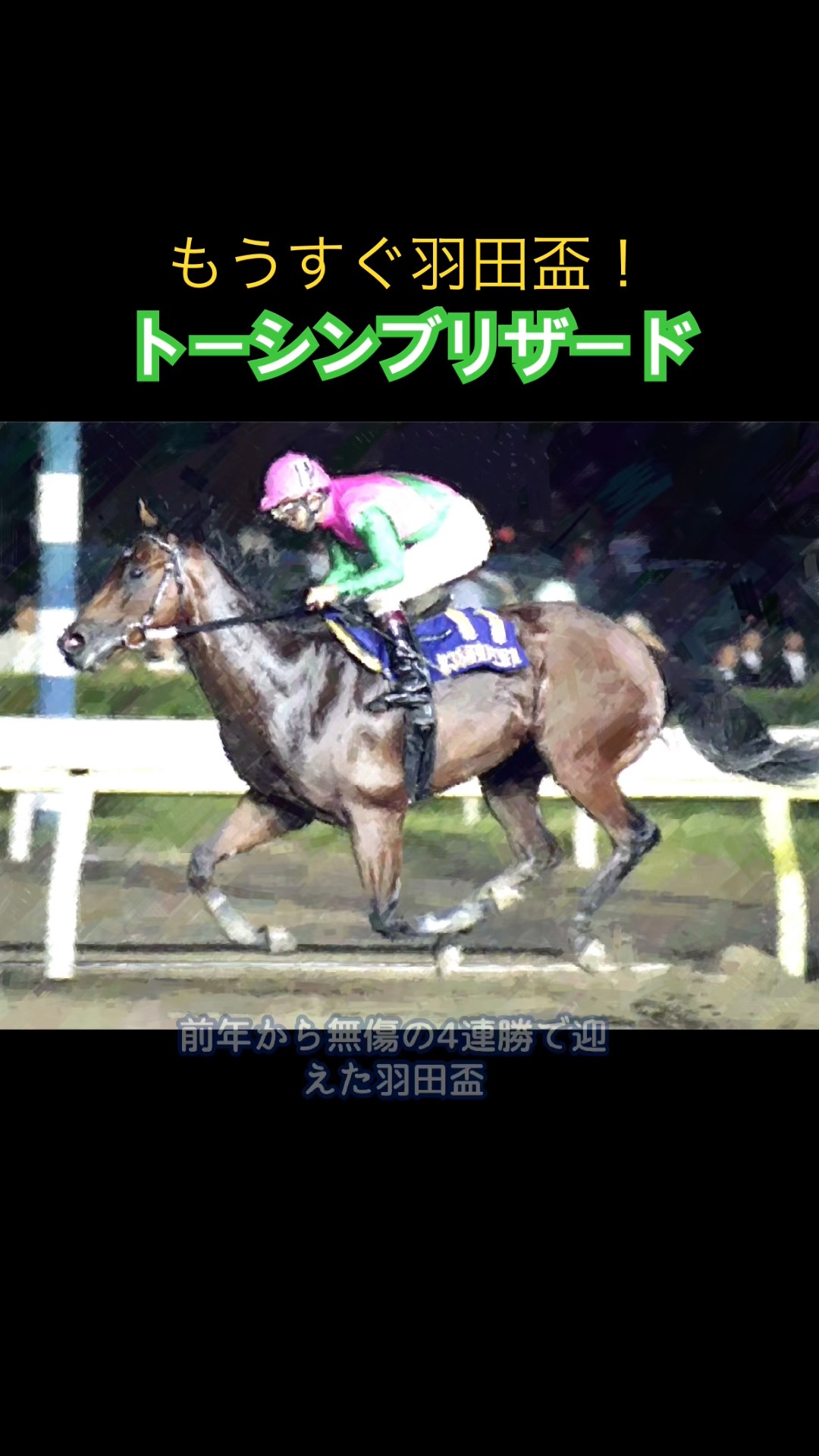 Memories of Famous Racehorses] Toshin Blizzard, the undefeated