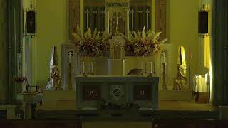 Immaculate Conception BVM Live Stream