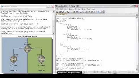 OSPF Area 0 on Juniper